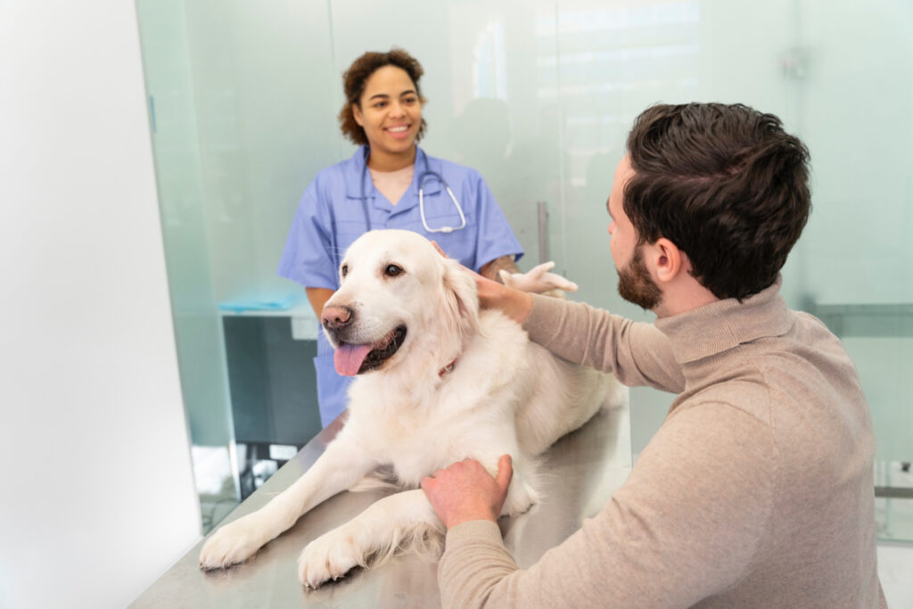 Foto de cliente e veterinária conversando, com um cachorro entre ambos