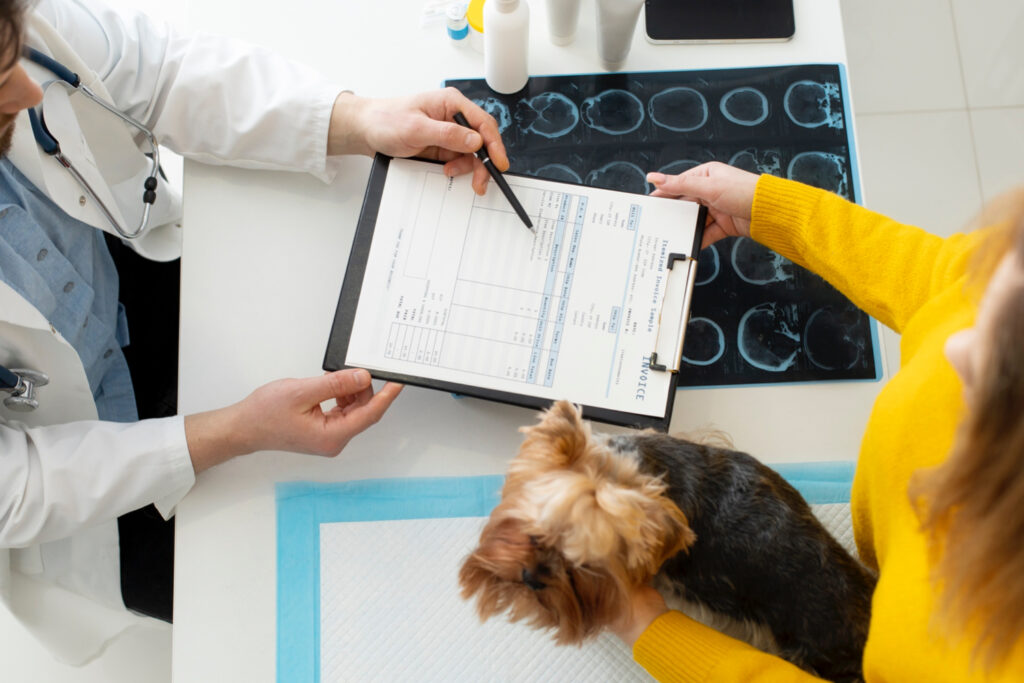 Foto de um veterinário atendendo um paciente canino e sua dona