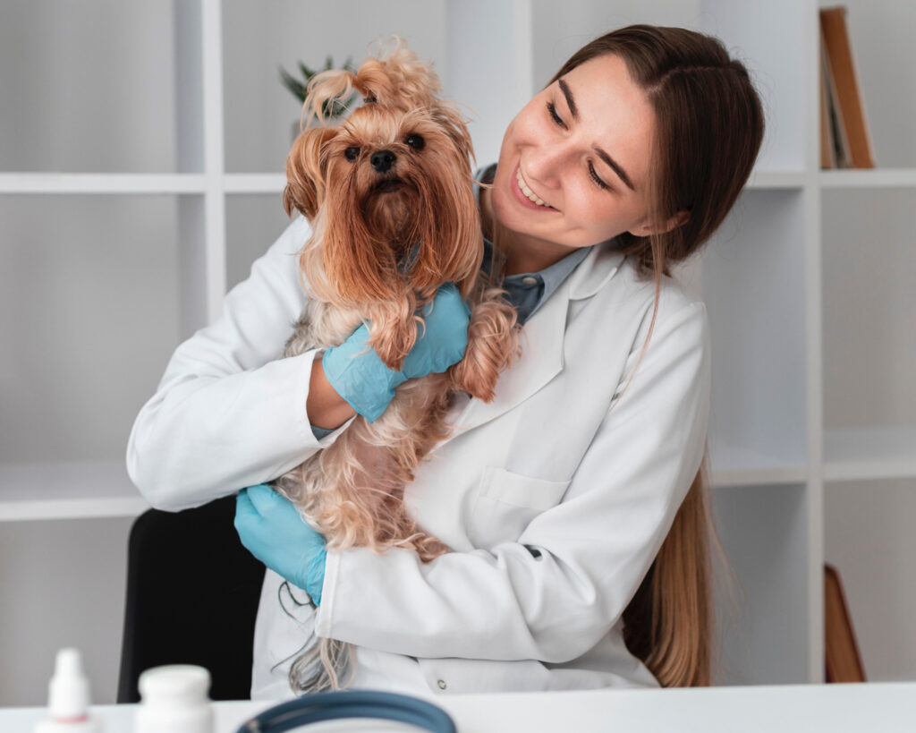 Foto de uma veterinária com um Yorkshire no colo
