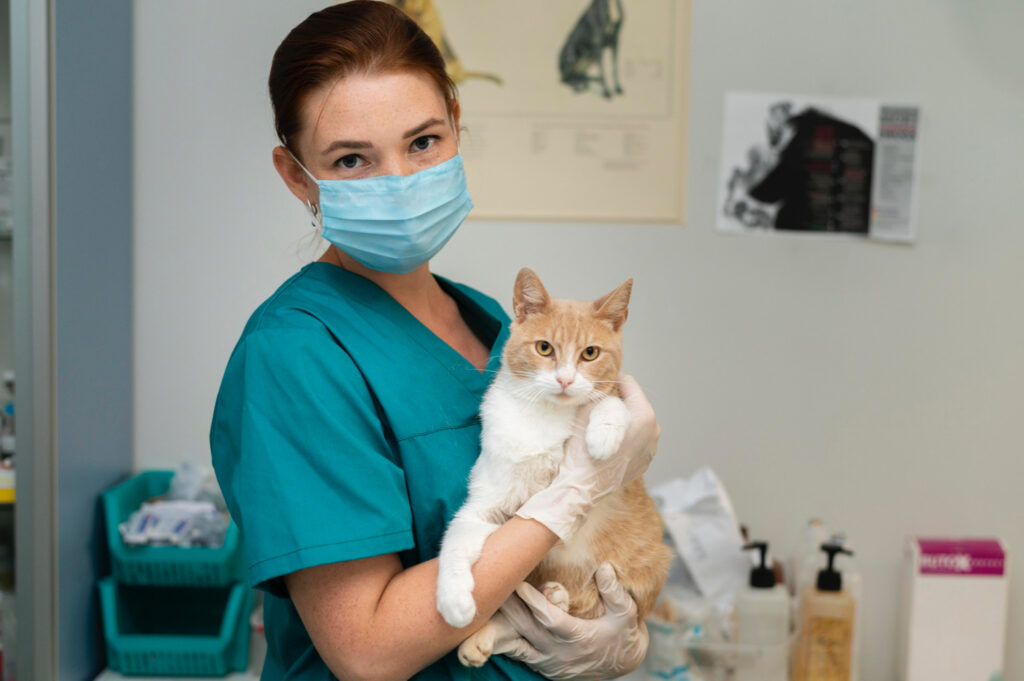 Foto de uma veterinária segurando um gato