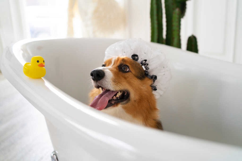 foto de um cachorro tomando banho, para ilustrar o artigo sobre como manter organizada uma agenda de banho e tosa