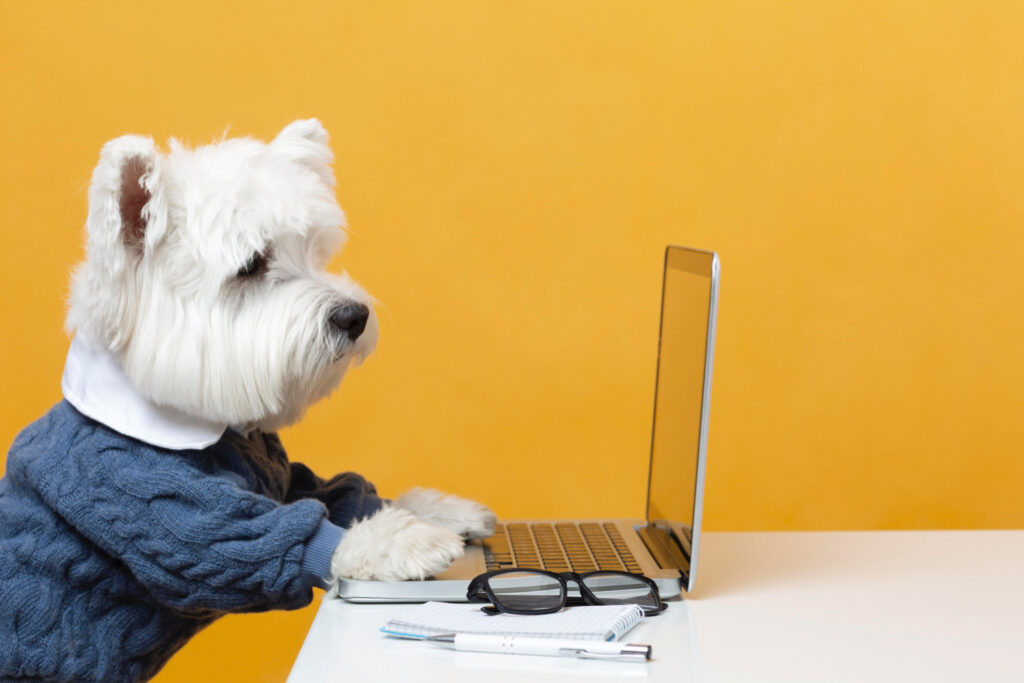 foto de um cachorro usando um laptop, para ilustrar o post sobre erros comuns na gestão de pet shops