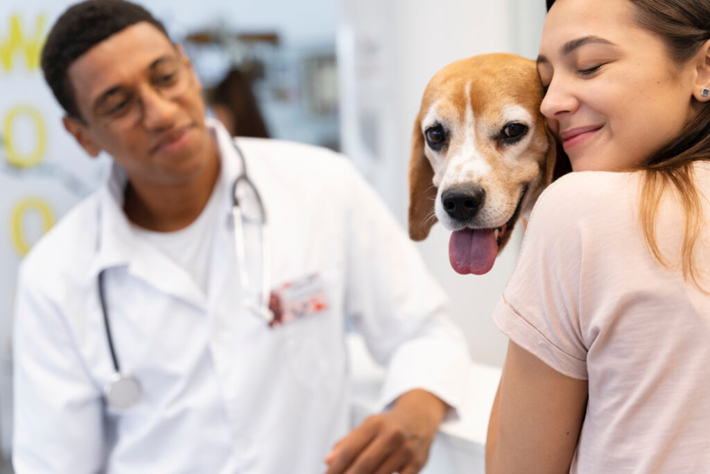 Foto de um cachorro sendo atendido por um veterinário para ilustrar o texto sobre "como gerenciar o fluxo de clientes de uma clínica veterinária"
