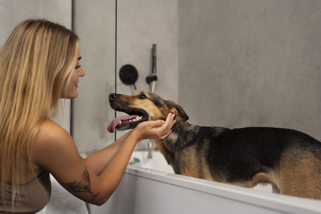 foto de uma mulher dando banho em seu cachorro, para ilustrar o artigo sobre cuidados domiciliares com banho e tosa